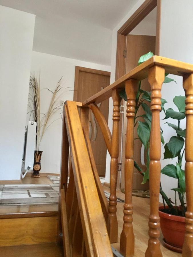 Cabana Baraj Apuseni Mountains Mihoesti Kültér fotó