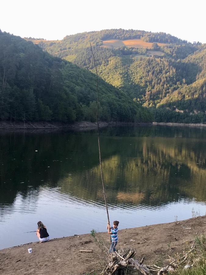 Cabana Baraj Apuseni Mountains Mihoesti Kültér fotó