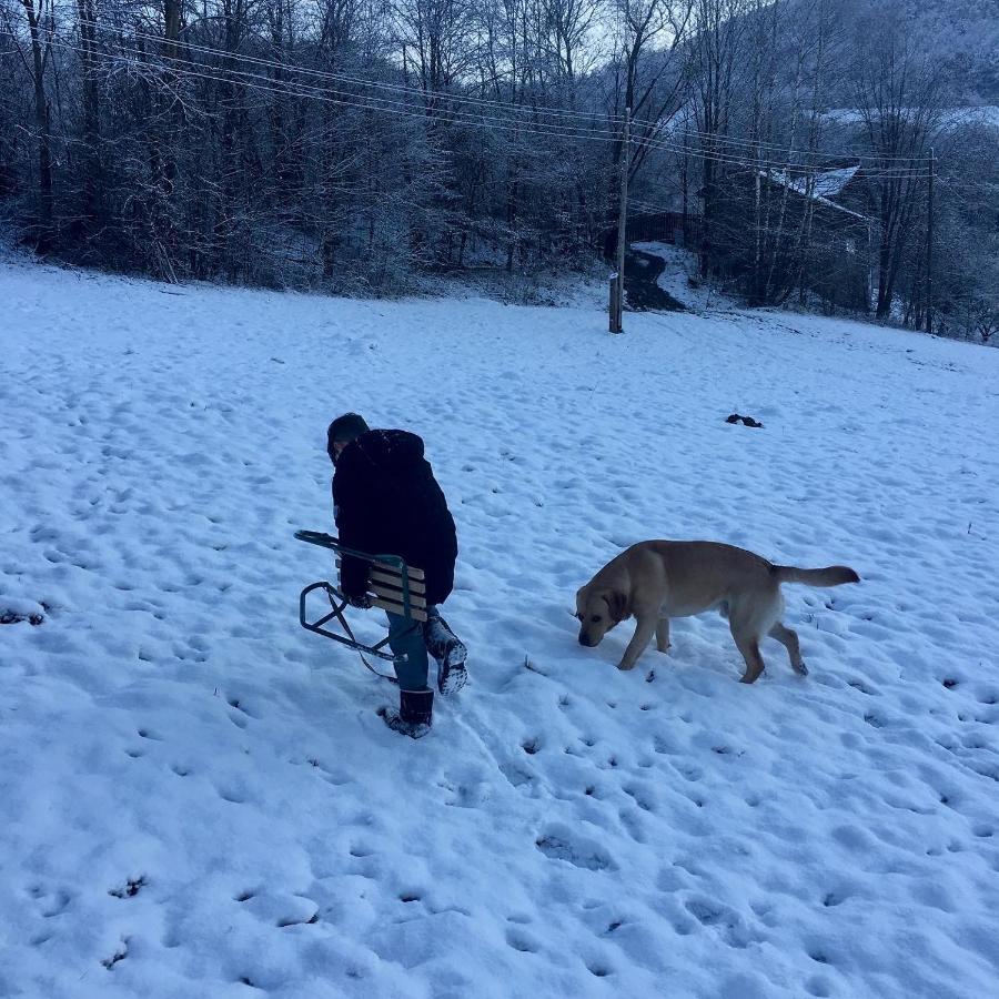 Cabana Baraj Apuseni Mountains Mihoesti Kültér fotó