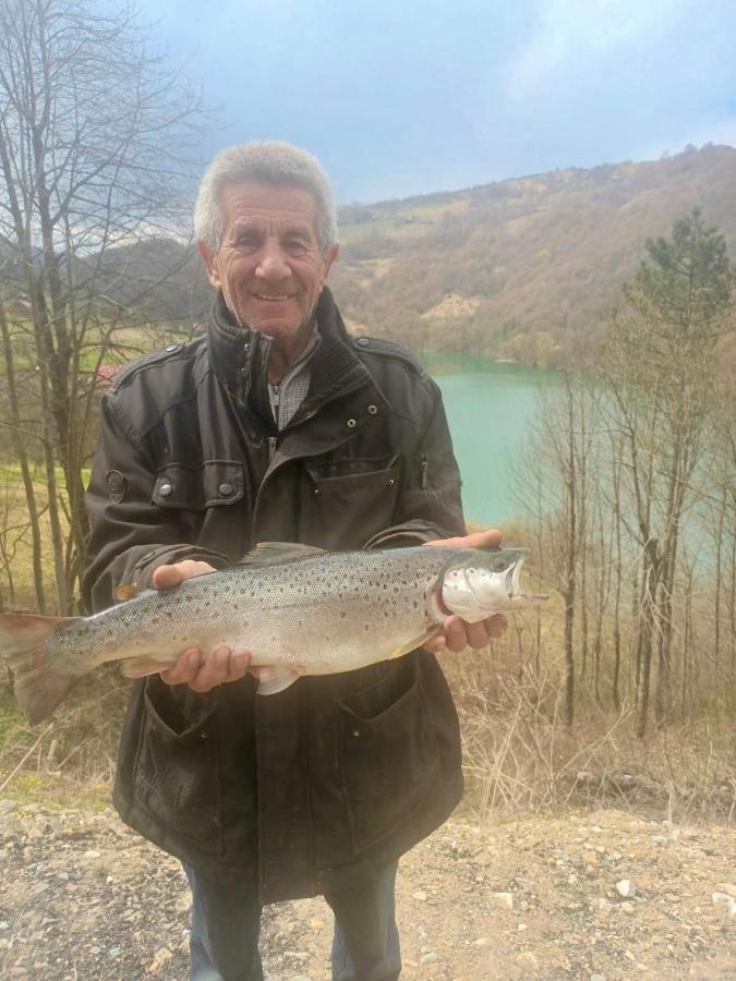Cabana Baraj Apuseni Mountains Mihoesti Kültér fotó