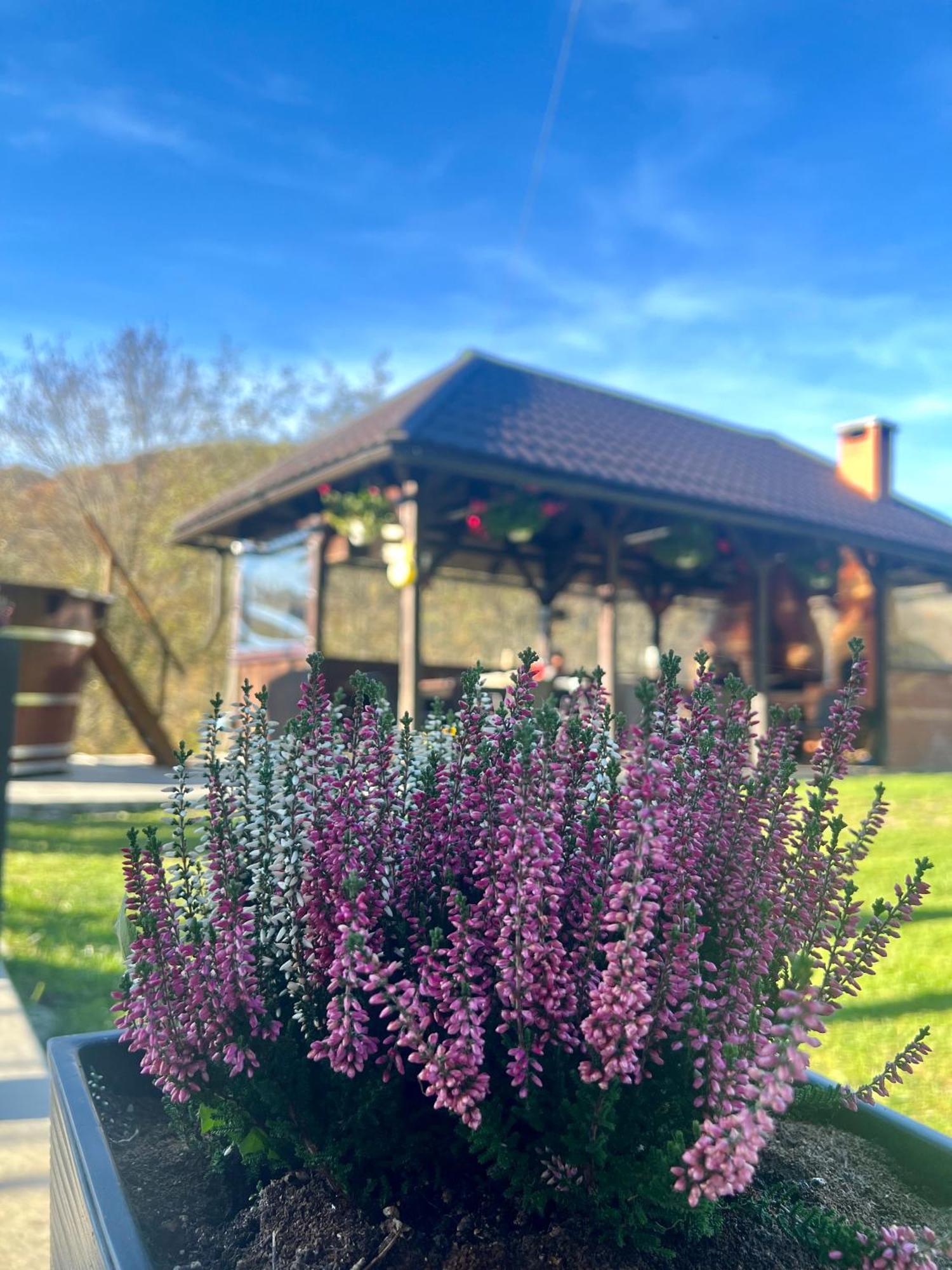 Cabana Baraj Apuseni Mountains Mihoesti Kültér fotó