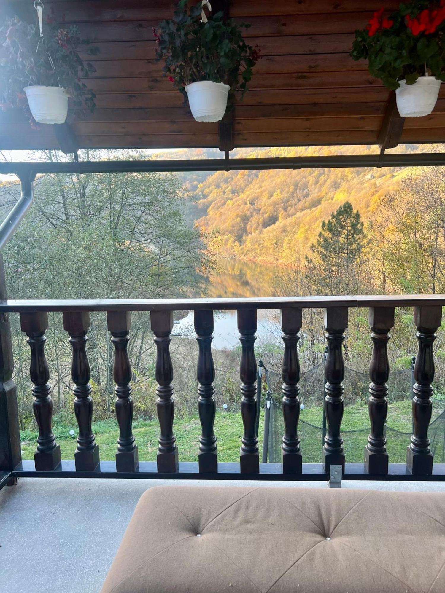 Cabana Baraj Apuseni Mountains Mihoesti Kültér fotó