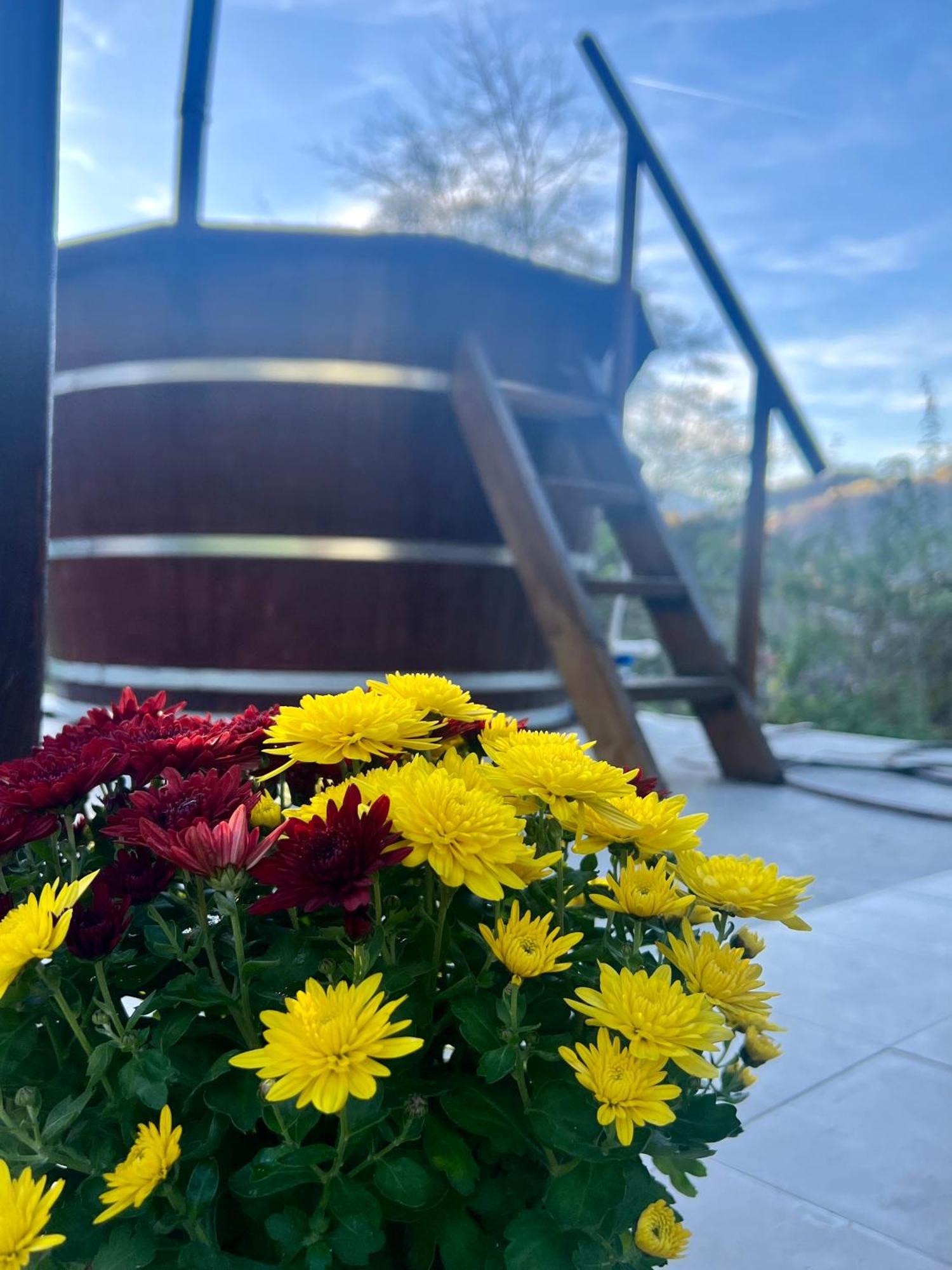 Cabana Baraj Apuseni Mountains Mihoesti Kültér fotó